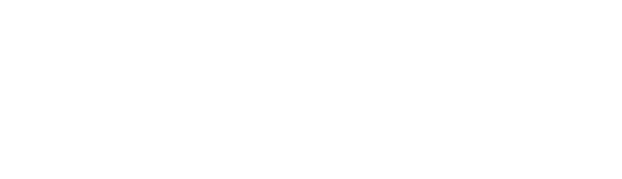 Bloomclicks Logo